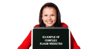 Example of Complex Flash Websites