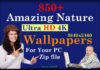 850+ Amazing Nature Ultra HD 4K Wallpapers For Your PC [Zip FIle]