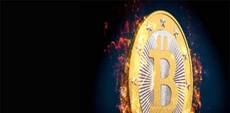 Understanding How to Bet with Bitcoin on 1xBit Website Can be Very Rewarding